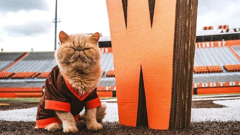 Bowling Green’s unofficial mascot – Pudge the cat