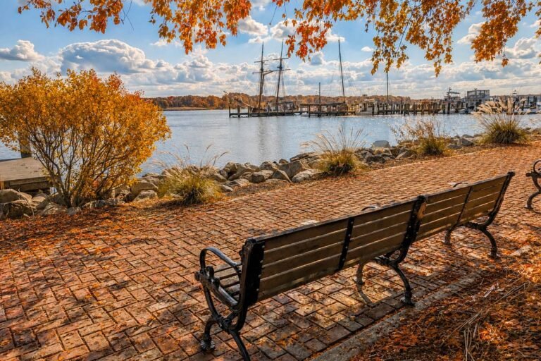 Fall 2026 on Maryland’s Eastern Shore: Best Season Yet